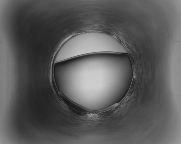X0000099490052200805150937