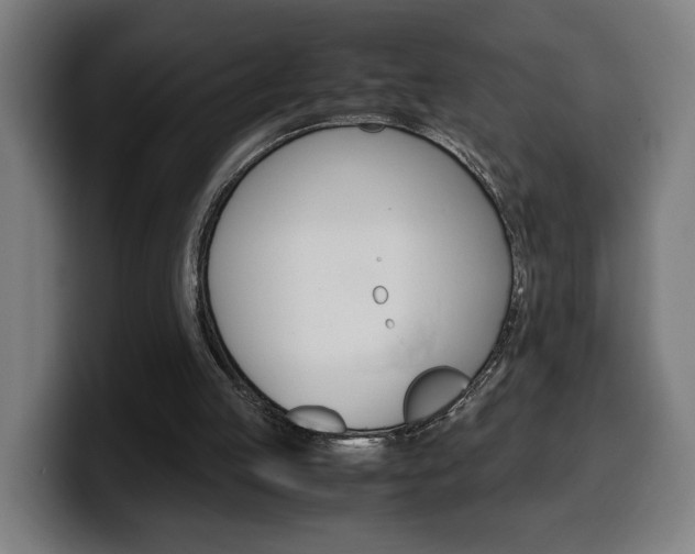 X0000099490053200805150937