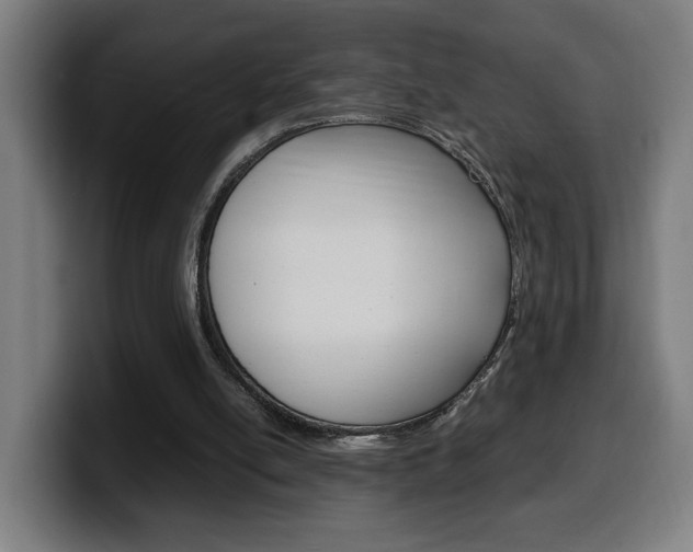 X0000099490054200805150937