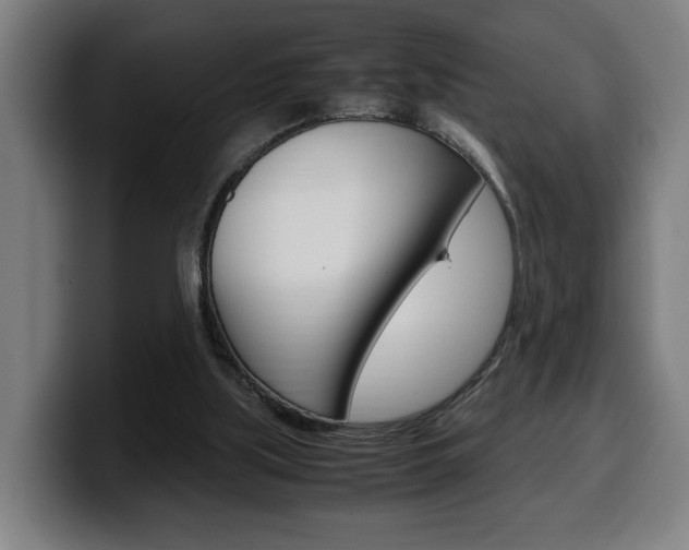 X0000099490059200805150937