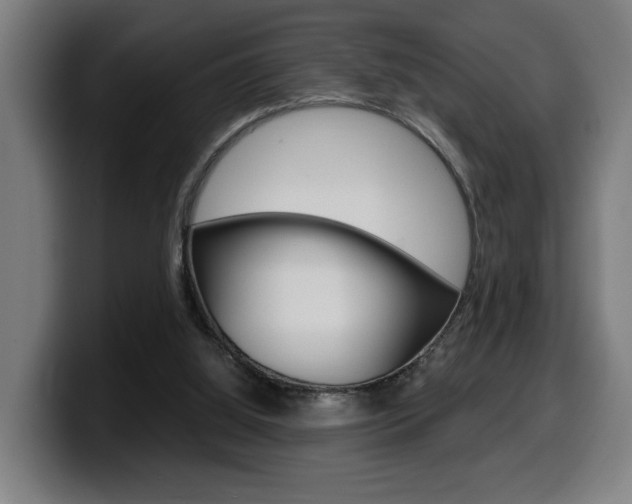 X0000099490060200805150937