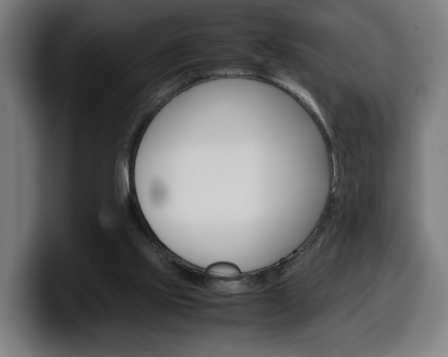 X0000099490061200805150937