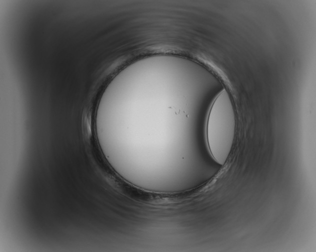 X0000099490062200805150937