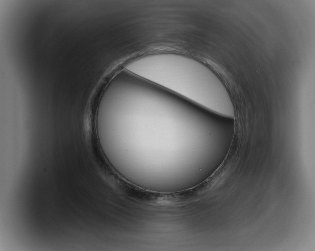 X0000099490064200805150937