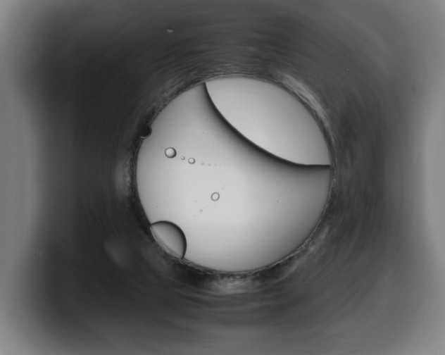 X0000099490065200805150937