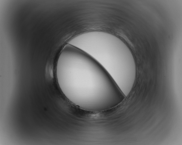 X0000099490068200805150937