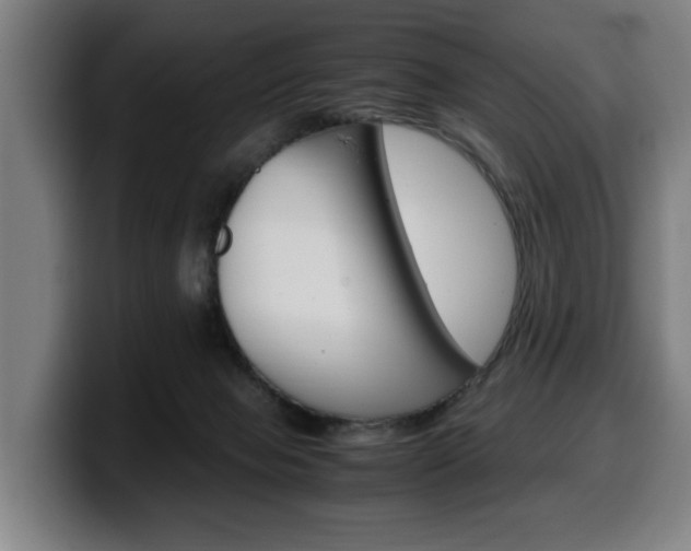 X0000099490077200805150937