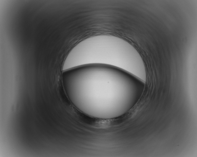 X0000099490084200805150937