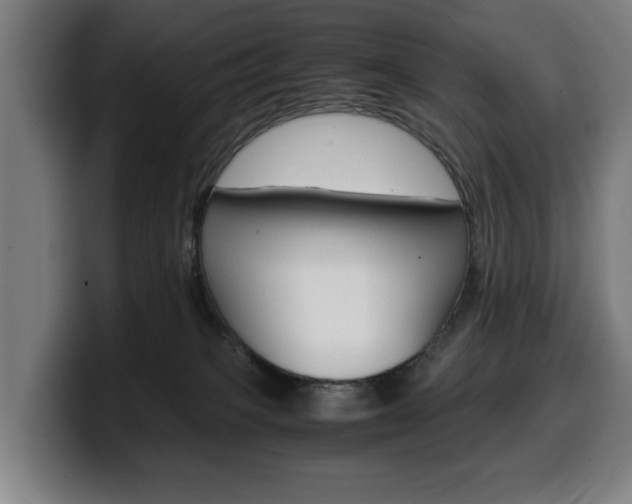X0000099490085200805150937