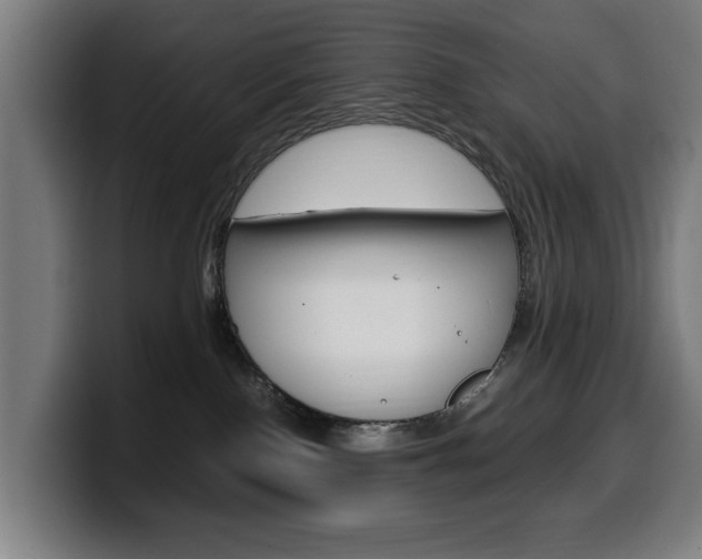 X0000099490090200805150937