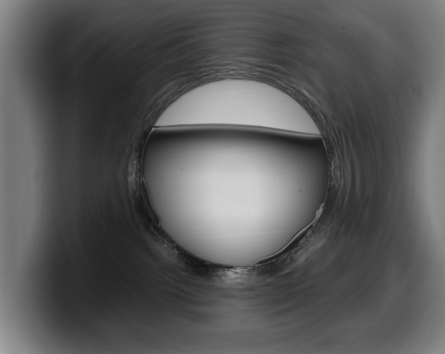 X0000099490092200805150937