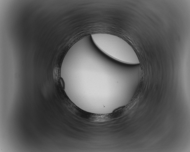 X0000099490093200805150937