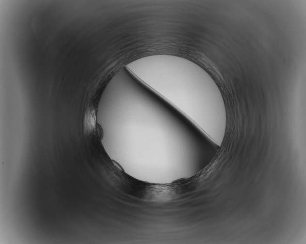 X0000099490095200805150937