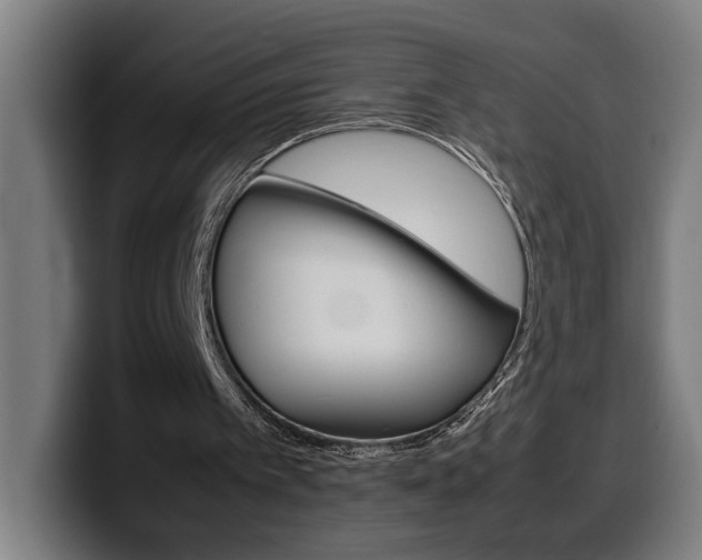 X0000099490097200805150937
