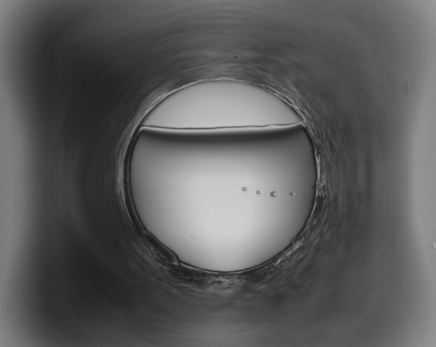 X0000099490099200805150937