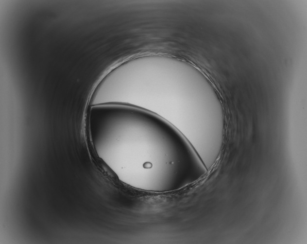 X0000099490100200805150936