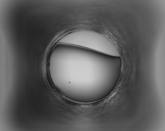 X0000099490101200805150936