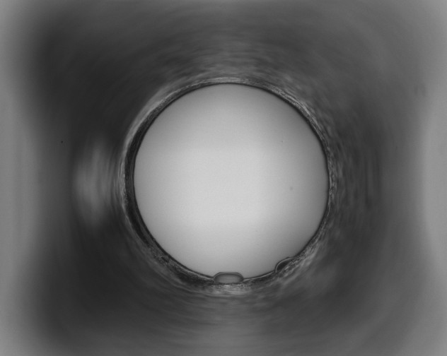 X0000099490102200805150936