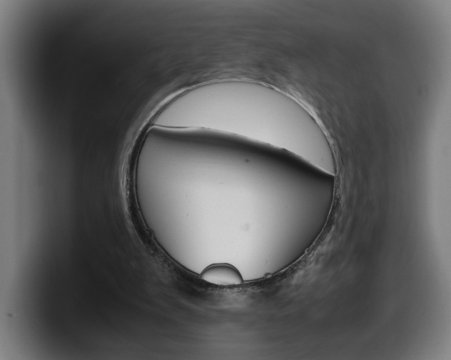 X0000099490103200805150936