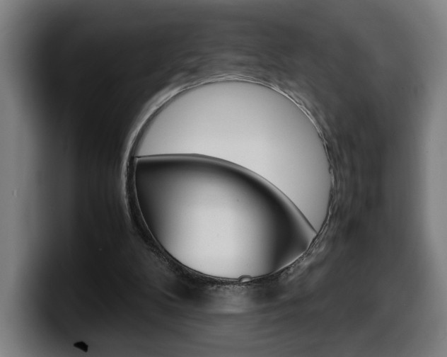 X0000099490104200805150936