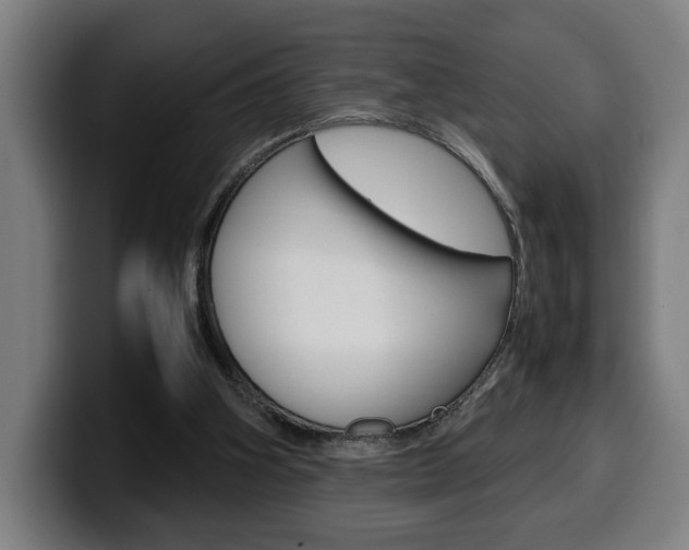 X0000099490106200805150936