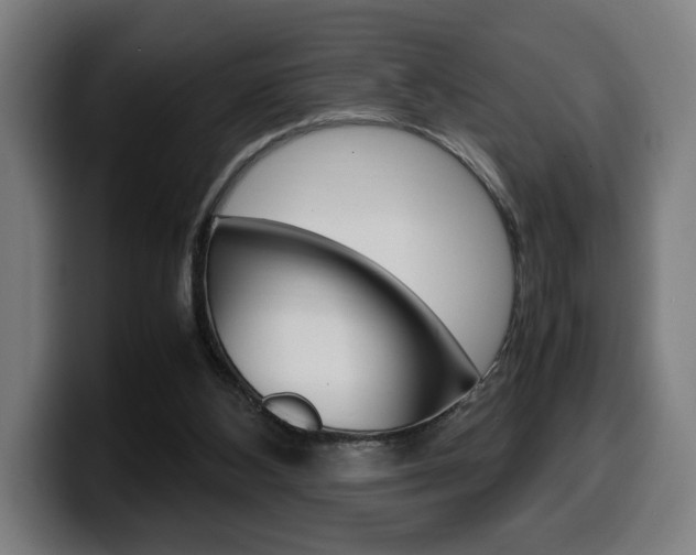 X0000099490108200805150936