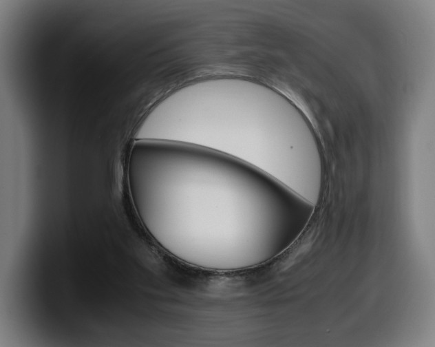 X0000099490109200805150936