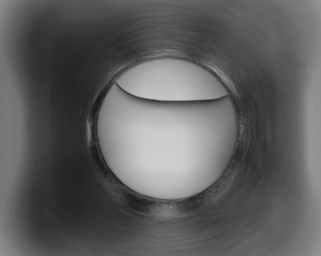 X0000099490110200805150936