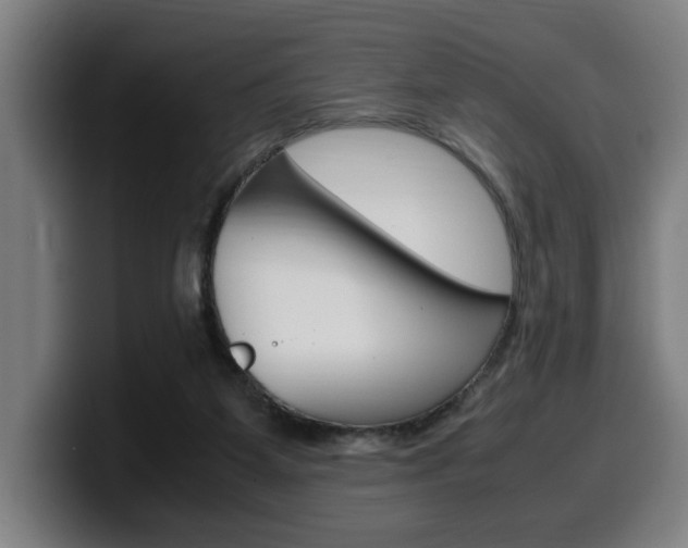 X0000099490115200805150936
