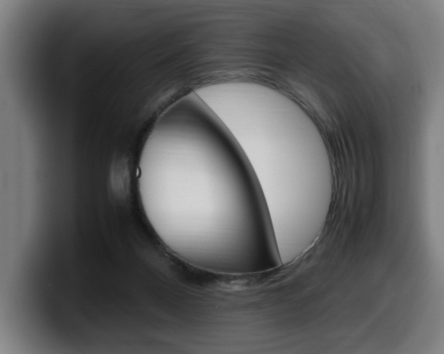 X0000099490120200805150936