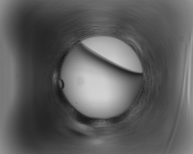 X0000099490123200805150936