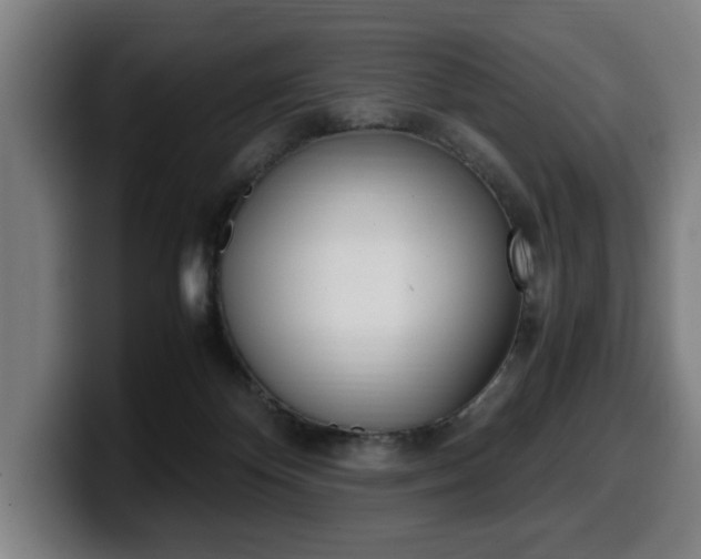 X0000099490124200805150936