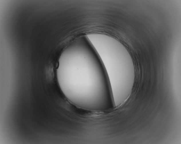 X0000099490128200805150936