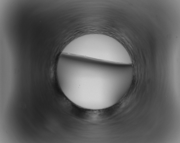 X0000099490131200805150936