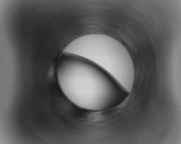 X0000099490132200805150936