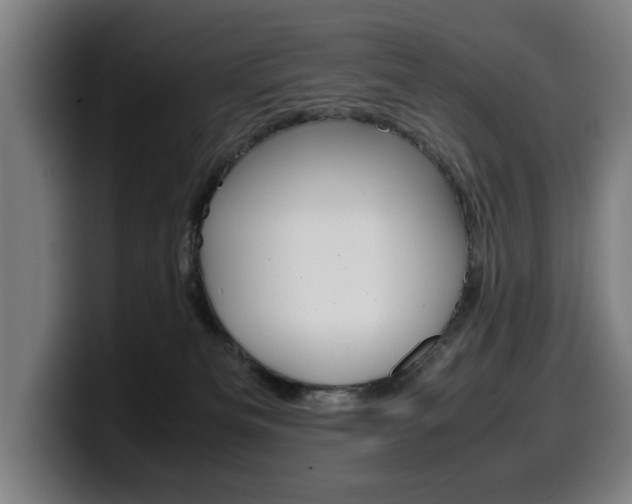 X0000099490133200805150936