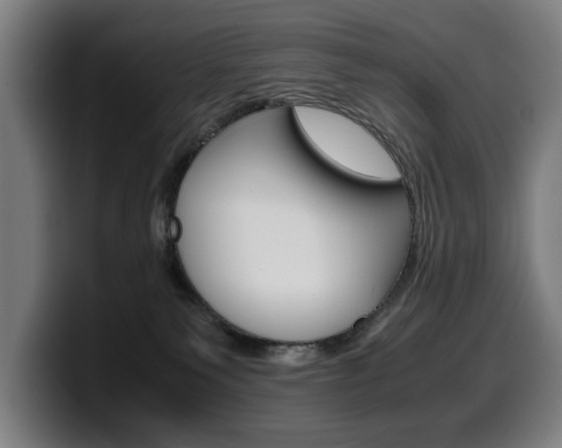 X0000099490135200805150936