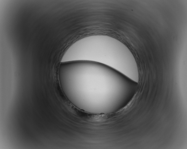 X0000099490136200805150936