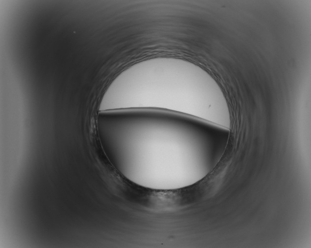 X0000099490137200805150936