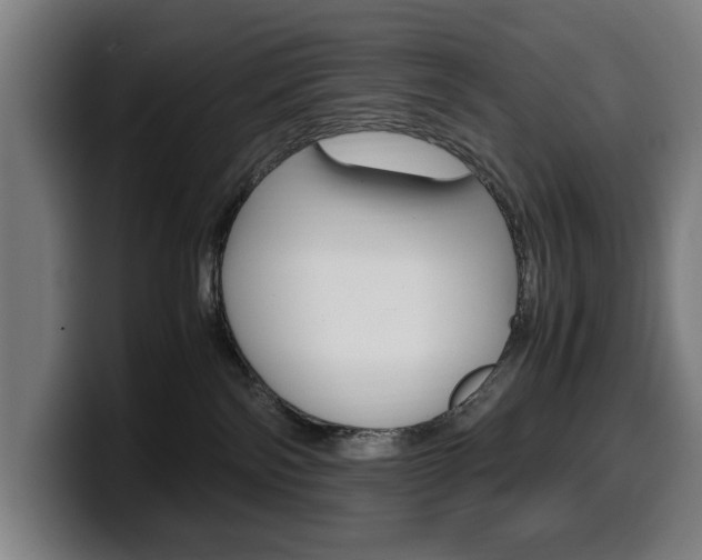 X0000099490138200805150936