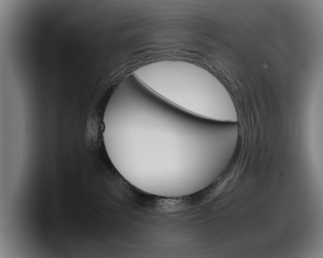 X0000099490139200805150936