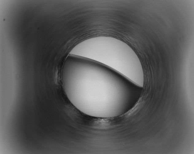 X0000099490140200805150936