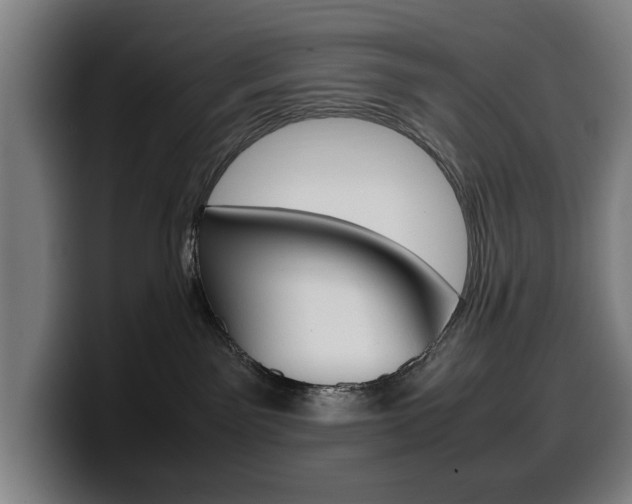 X0000099490141200805150936