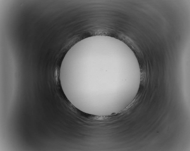 X0000099490142200805150936