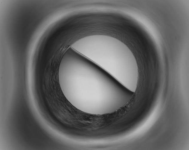 X0000099490143200805150936