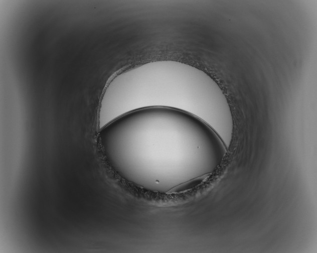 X0000099490144200805150936