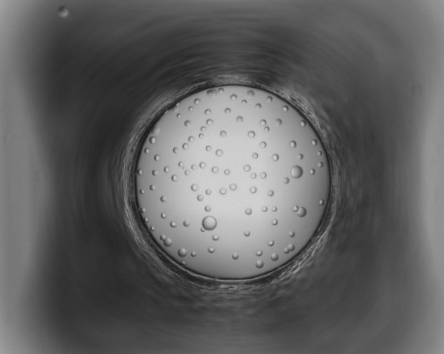 X0000099490145200805150935
