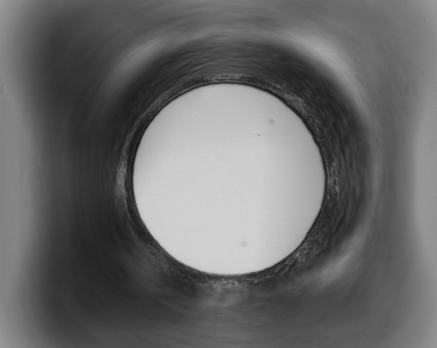 X0000099490146200805150935