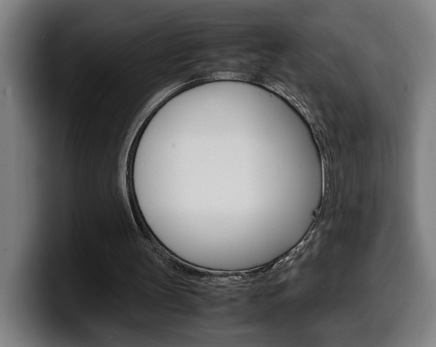X0000099490147200805150935