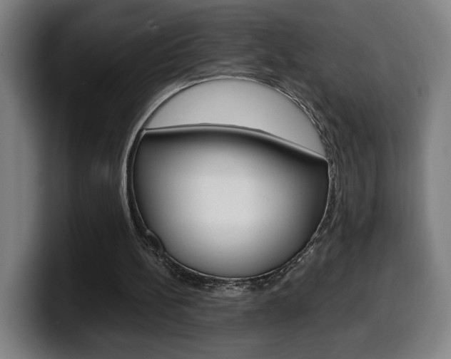 X0000099490148200805150935